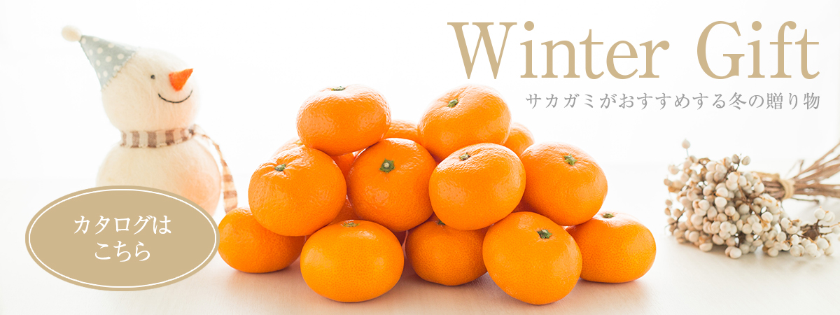 Winter Gift
