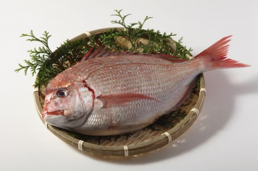 グランルパ豊洲店